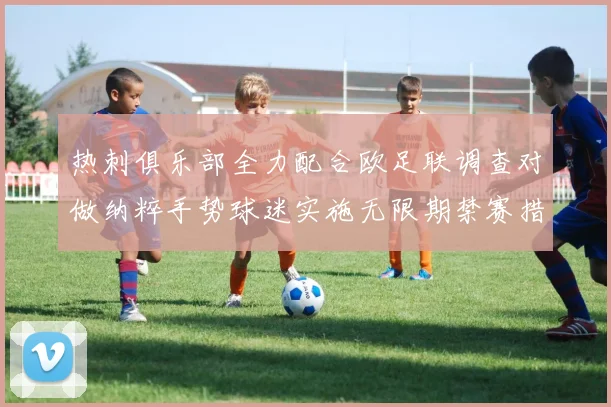 热刺俱乐部全力配合欧足联调查对做纳粹手势球迷实施无限期禁赛措施